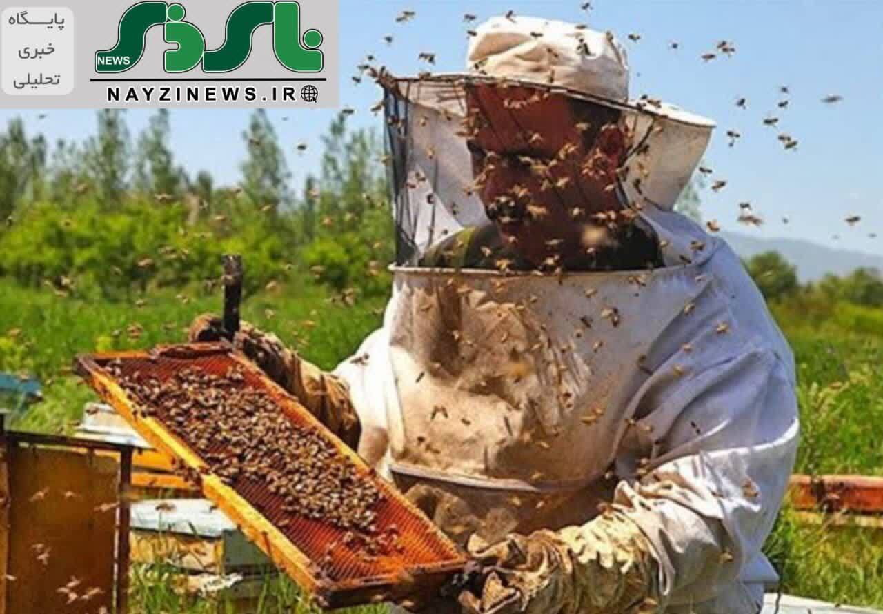 تولید 30 تن عسل در نیریز / 42 زنبوردار در شهرستان فعالیت میکنند تولید 30 تن عسل در نیریز / 42 زنبوردار در شهرستان فعالیت میکنند