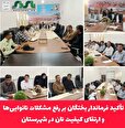 تأکید فرماندار بختگان بر رفع مشکلات نانوایی‌ها و ارتقای کیفیت نان در شهرستان