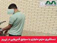 دستگیری متهم متواری با سوابق آدم‌ربایی در نی‌ریز