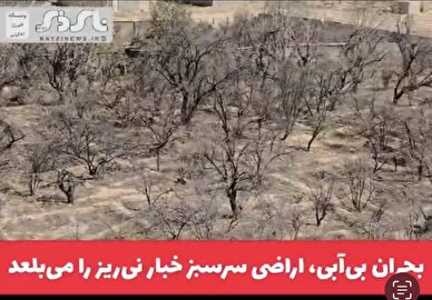  کلیپ/ بحران بی‌آبی، اراضی سرسبز خبار نی‌ریز را می‌بلعد/ مناطق سرسبز تحت شرب قنات خبار به خاطره تبدیل می‌شوند