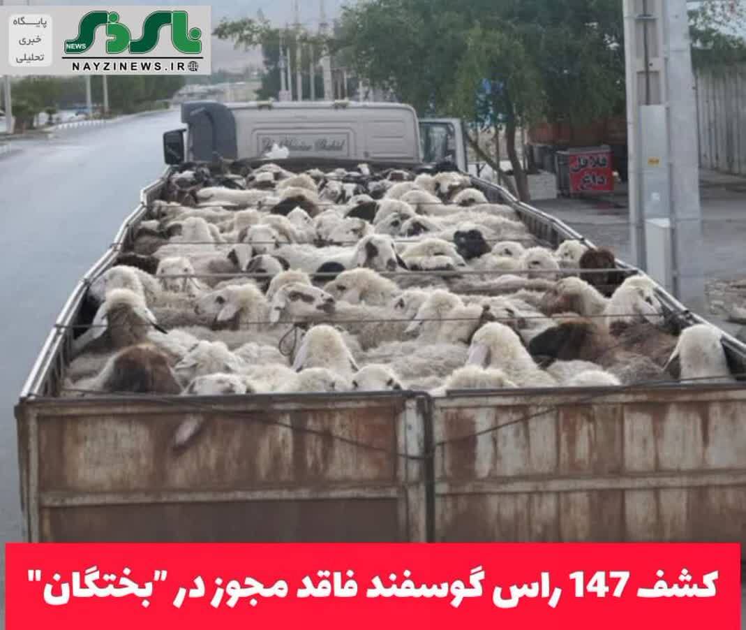 آموزش مفاهیم محیط‌زیستی به نونهالان مهد کودک کودک پارسی