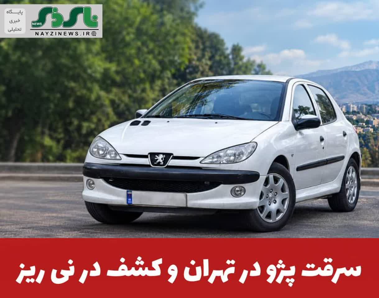 فرمانده انتظامي نی‌ریز از کشف سواری پژو 207 با سابقه سرقت از تهران در اين شهرستان خبر داد. 