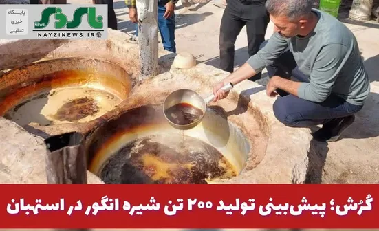  کُرُش؛ پیش‌بینی تولید ۲۰۰ تن شیره انگور در استهبان 