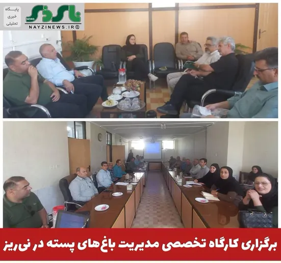  برگزاری کارگاه تخصصی مدیریت باغ‌های پسته در نی‌ریز 