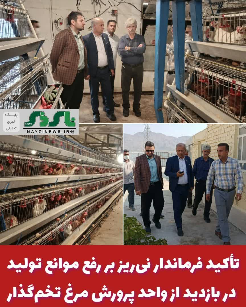 تأکید فرماندار نیریز بر رفع موانع تولید در بازدید از واحد پرورش مرغ تخمگذار تأکید فرماندار نیریز بر رفع موانع تولید در بازدید از واحد پرورش مرغ تخمگذار