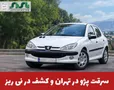 فرمانده انتظامي نی‌ریز از کشف سواری پژو 207 با سابقه سرقت از تهران در اين شهرستان خبر داد. 