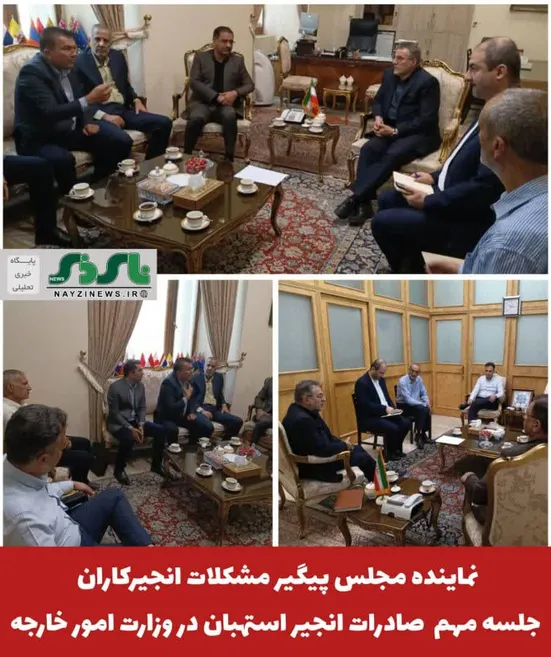 نماینده مجلس پیگیر مشکلات انجیرکاران ، جلسه مهم  صادرات انجیر استهبان در وزارت امور خارجه