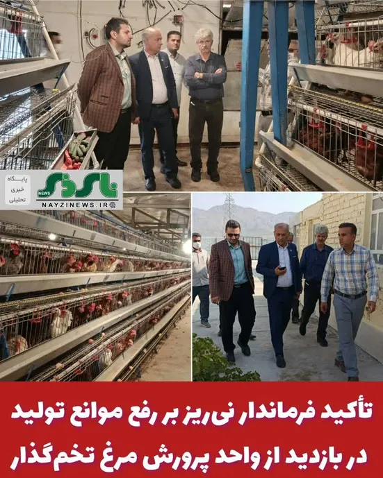  تأکید فرماندار نی‌ریز بر رفع موانع تولید در بازدید از واحد پرورش مرغ تخم‌گذار