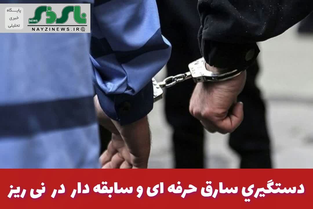 فرمانده انتظامي نیریز از دستگيري سارق حرفهاي و سابقهدار و کشف 7 فقره سرقت در اين شهرستان خبر داد فرمانده انتظامي نیریز از دستگيري سارق حرفهاي و سابقهدار و کشف 7 فقره سرقت در اين شهرستان خبر داد